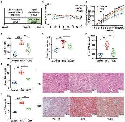 Yinchen Linggui Zhugan decoction ameliorates high fat diet-induced nonalcoholic fatty liver disease by modulation of SIRT1/Nrf2 signaling pathway and gut microbiota